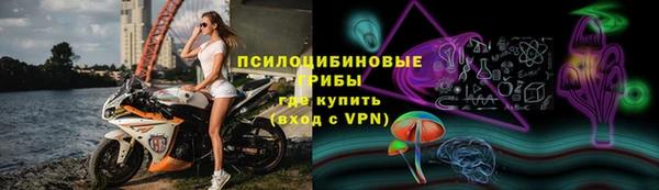 сатива Богданович