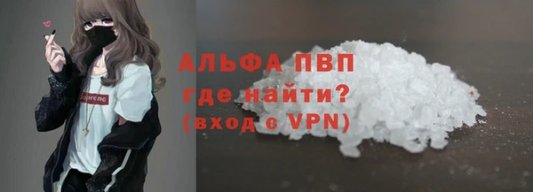 сатива Богданович